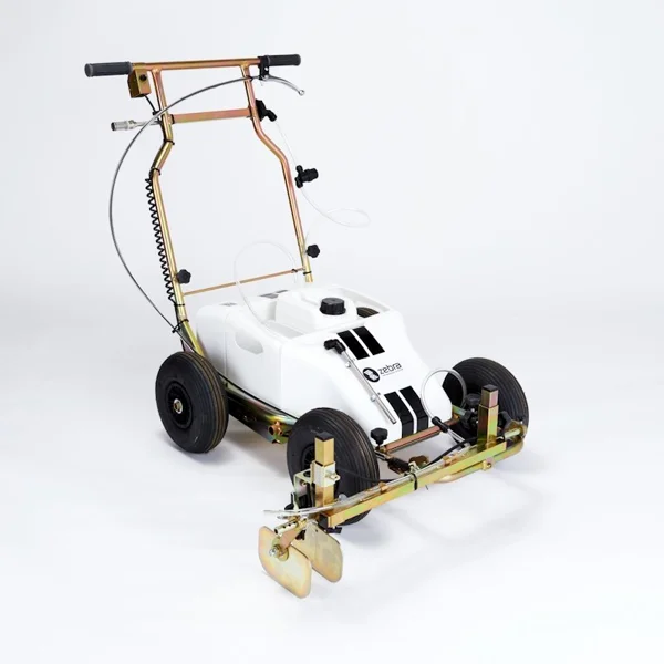 Zebra Line Marking Image