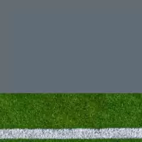 Artificial grass with horizontal Marked Line