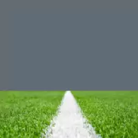 Grass with Vertical Marked Line