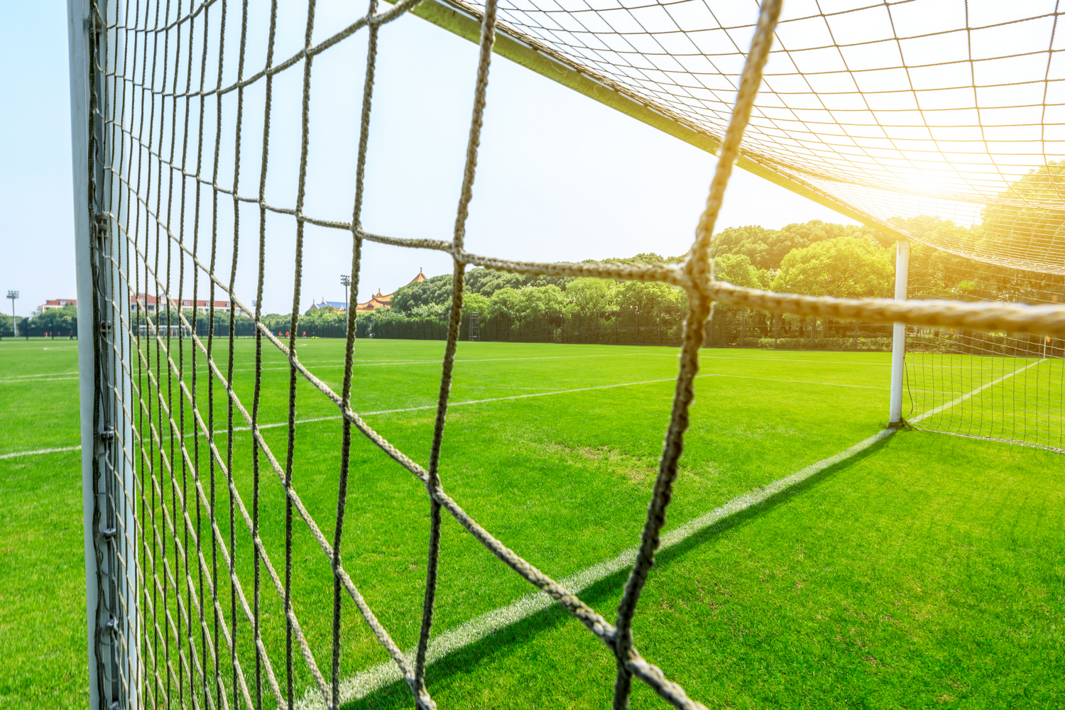 What Are Goalposts Made Of?